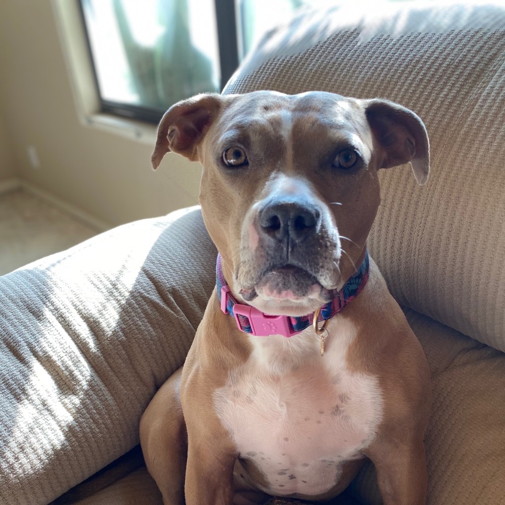 Meet your Posher, Taylor